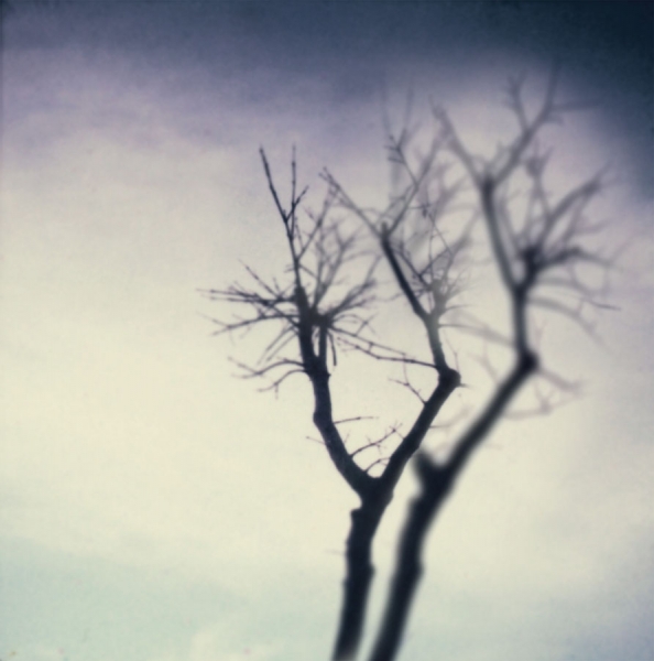 Photograph Naurarat Suksomstarn Illusion on One Eyeland